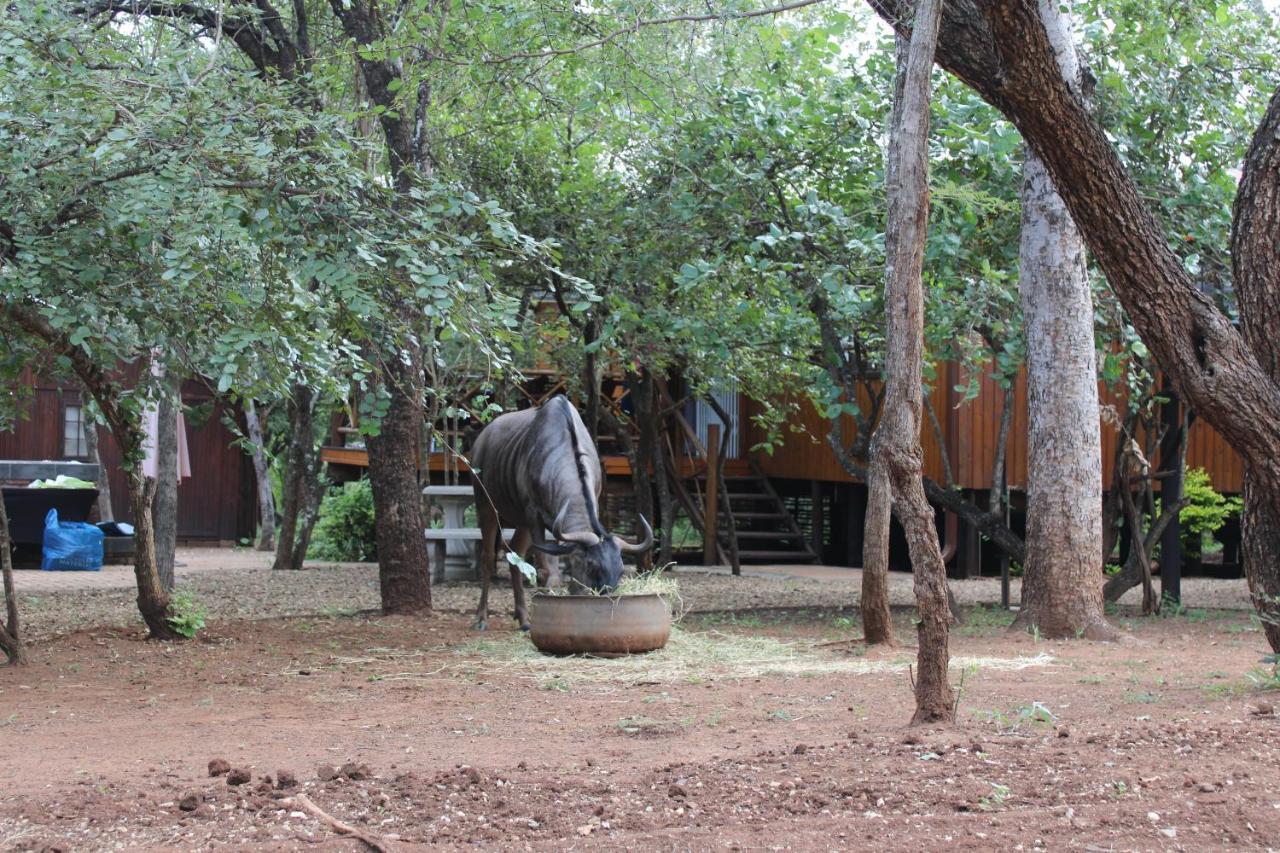 Villa Bush Break @ 3990 Marloth Park Exterior foto